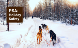 Psa holiday safety advice car accidents