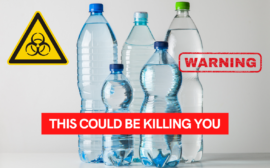 What to know about bpa toxicity
